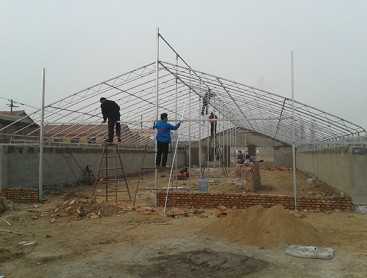 Intelligent sunlight greenhouse