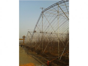 Fruit trees greenhouse