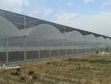 智能連棟膜溫室
