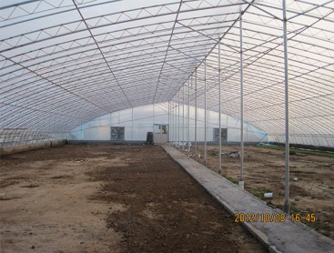 Intelligent sunlight greenhouse