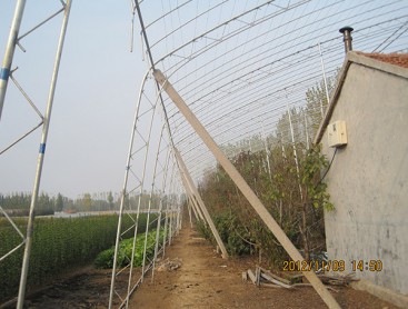Fruit trees greenhouse
