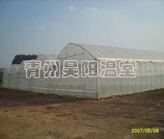 智能連棟膜溫室