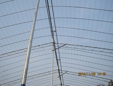 Fruit trees greenhouse