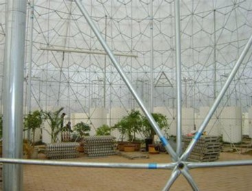 Bird's nest greenhouse