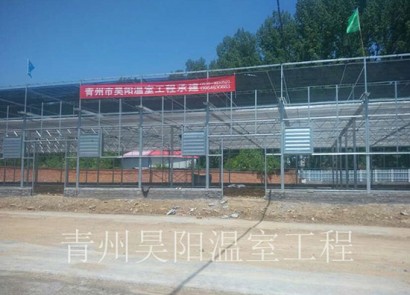 河南欒川蘭花村花卉市場