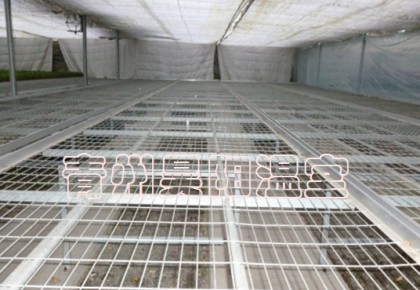 Greenhouse mobile seedbed