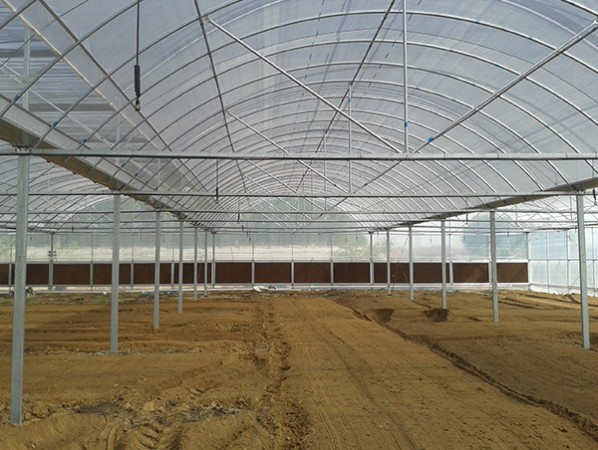 Intelligent multi-span greenhouse