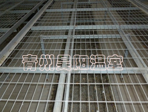 溫室移動(dòng)苗床