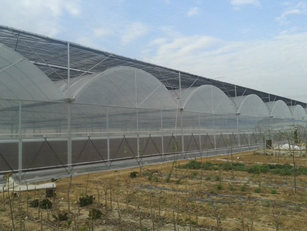 Intelligent multi-span greenhouse