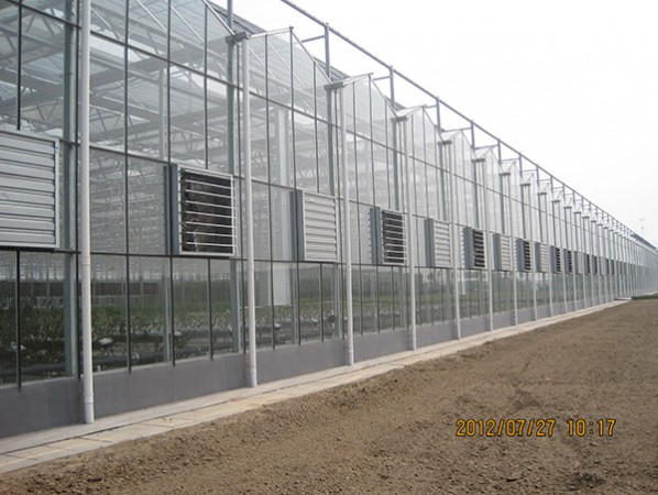 Venlo glass PC greenhouse