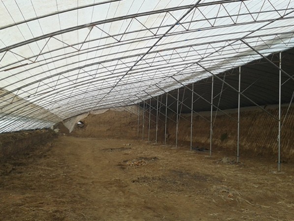 Intelligent sunlight greenhouse