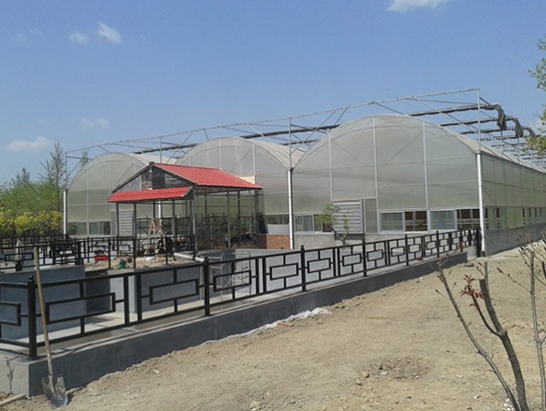 Intelligent multi-span greenhouse