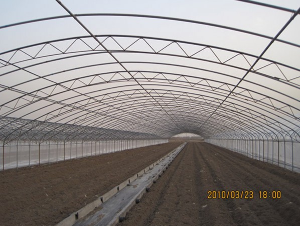 Single greenhouse
