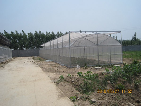 double greenhouse