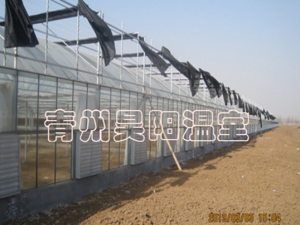 智能連棟膜溫室