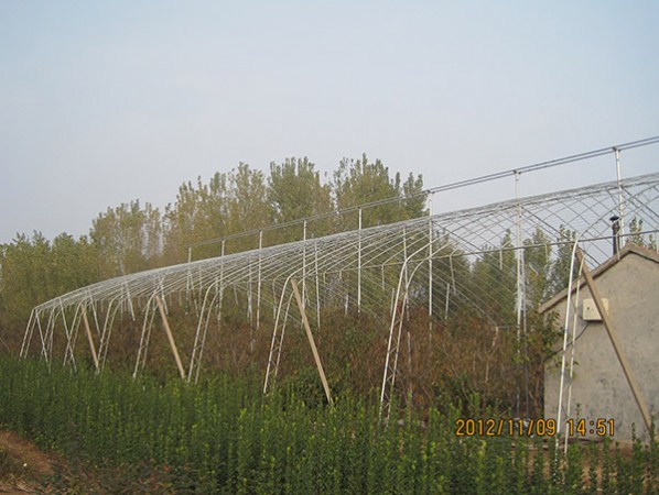 果樹大棚