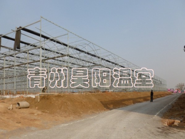 智能連棟膜溫室