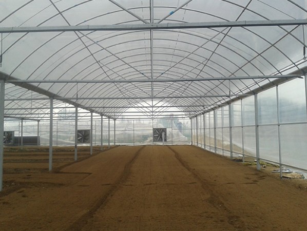 Intelligent multi-span greenhouse