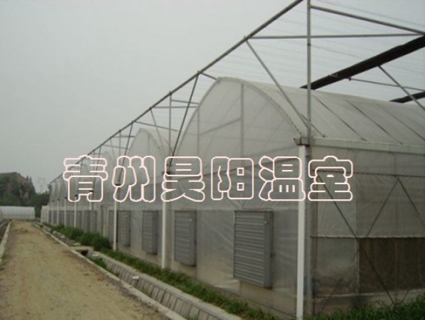 智能連棟膜溫室