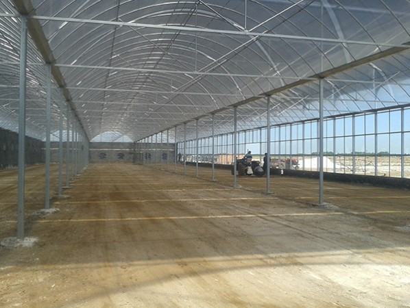 Intelligent multi-span greenhouse